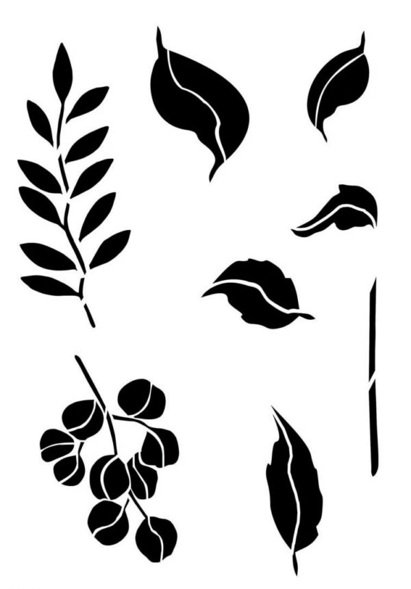 A216 Selection of Leaves